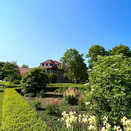 Gut Beinrode Apartmán
